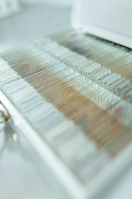 Identifying Key Elements in a complex Case